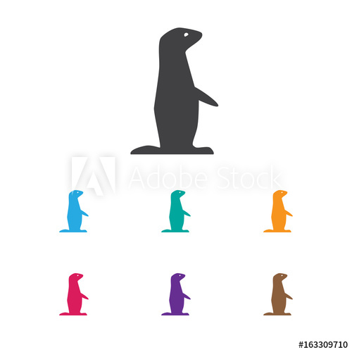 500x500 Vector Illustration Of Zoology Symbol On Gopher Icon Premium