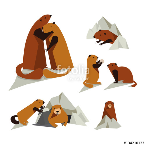 500x500 Groundhog Icon Set Stock Image And Royalty Free Vector