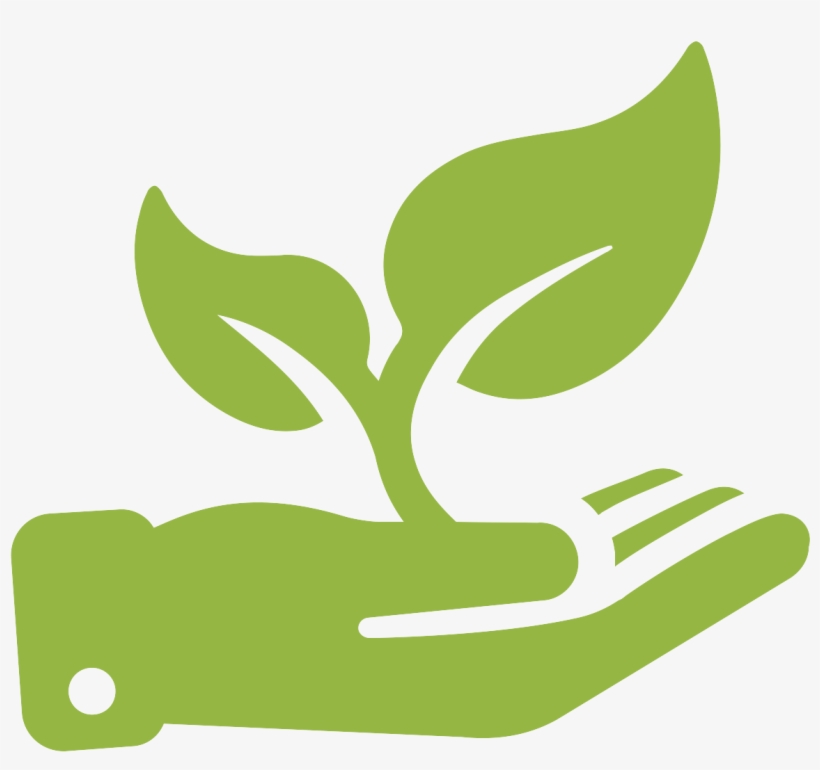 820x770 Grow Transparent Background