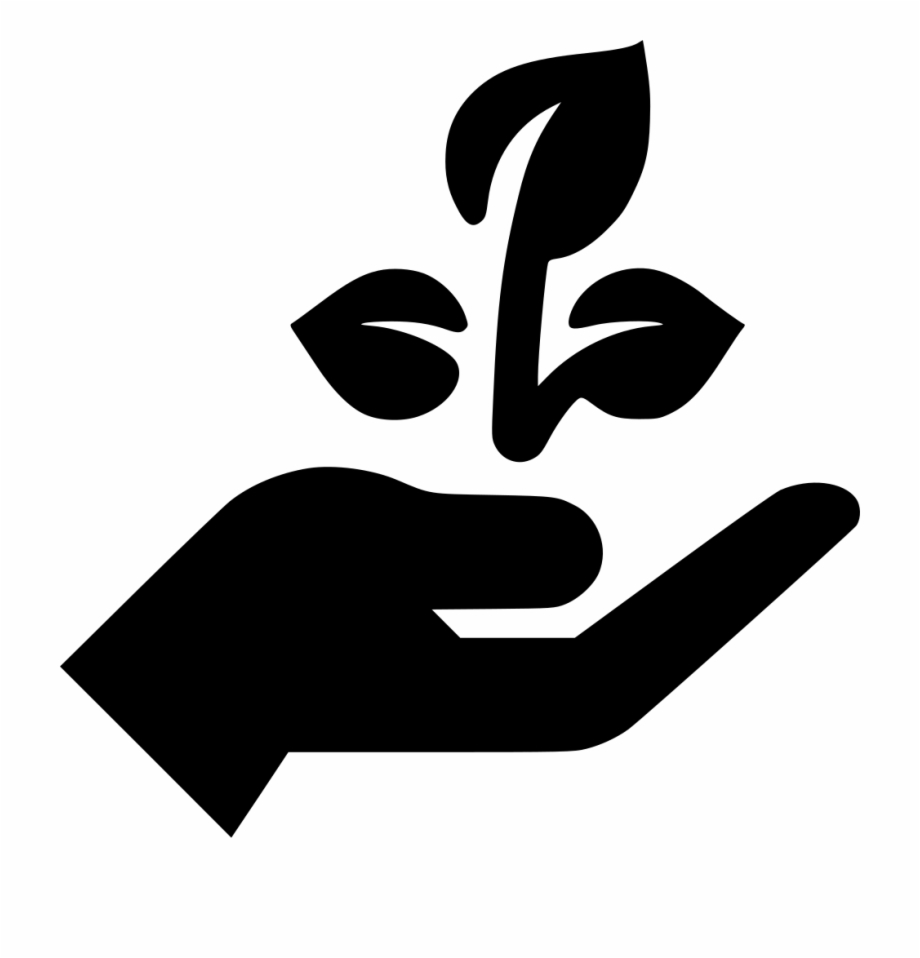 920x958 Grow Transparent Images Png