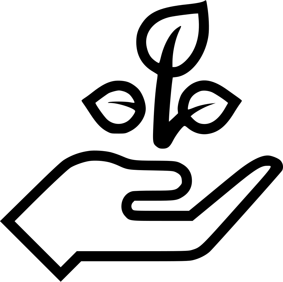980x978 Hand Seedling Plant Grow Png Icon Free Download