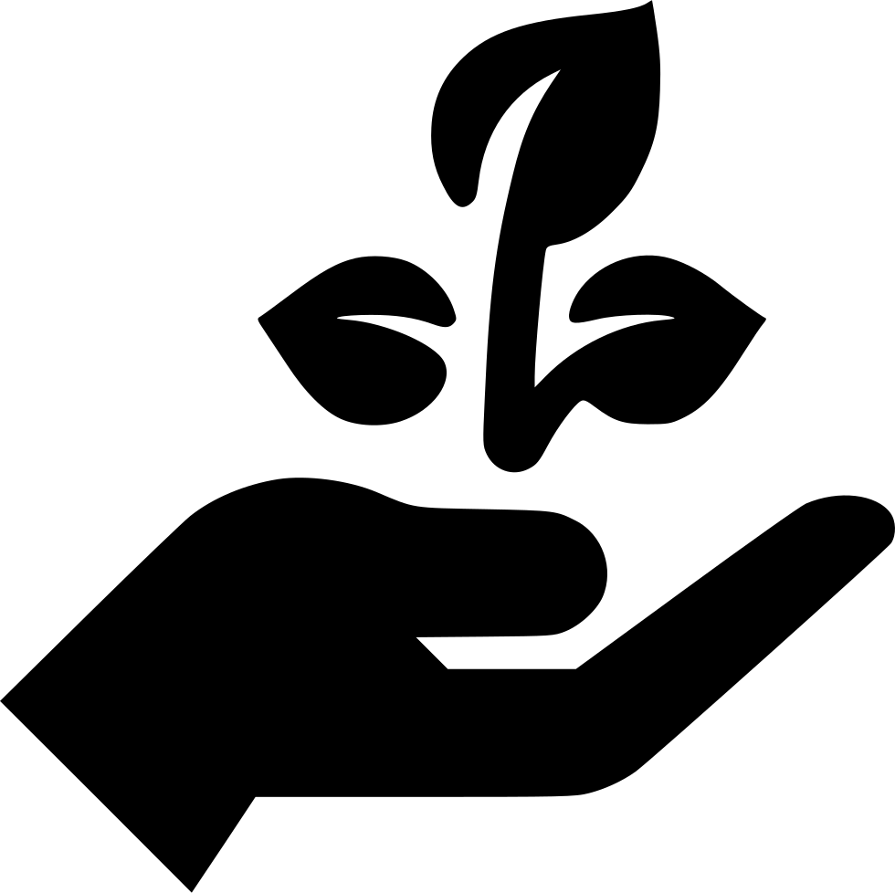 980x978 Hand Seedling Plant Grow Png Icon Free Download
