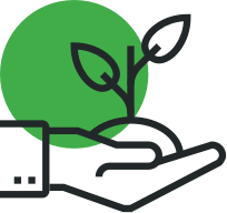 204x192 Growth Icon Fern