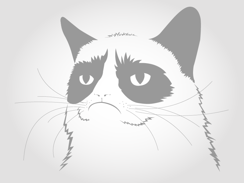800x600 Grumpy Cat