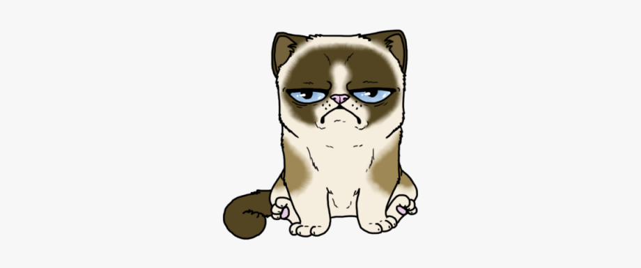 920x385 Grumpy Cat Clipart Png