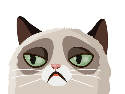 400x300 Grumpy Cat Icon