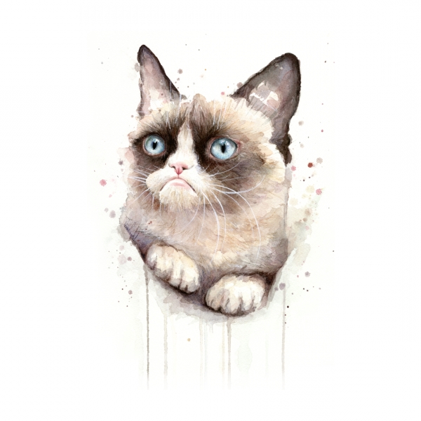 600x600 Grumpy Cat Icon