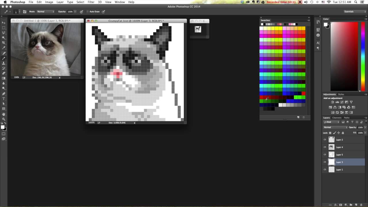 1280x720 Grumpy Cat Icon Speed Art