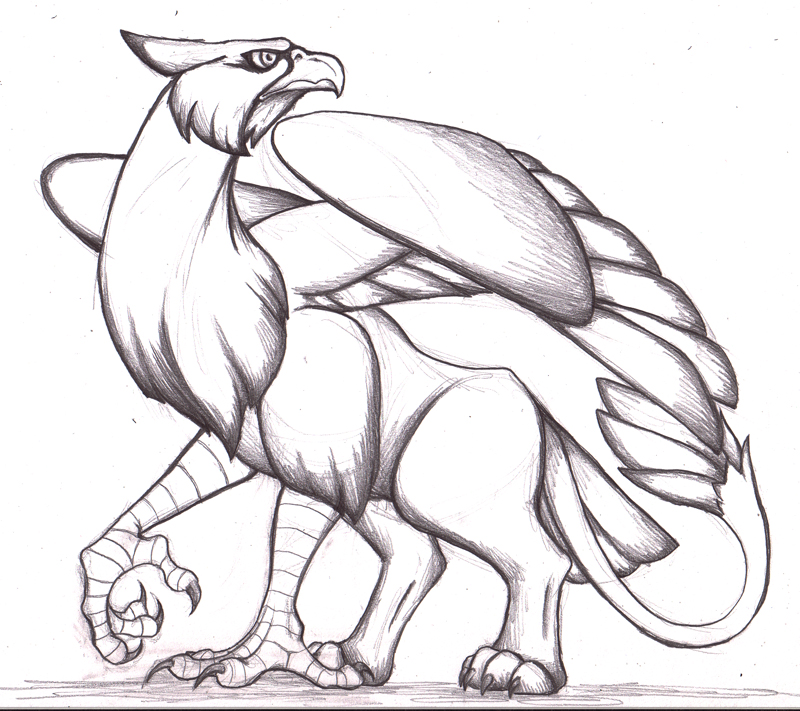 800x711 Gryphon Icon Doodle