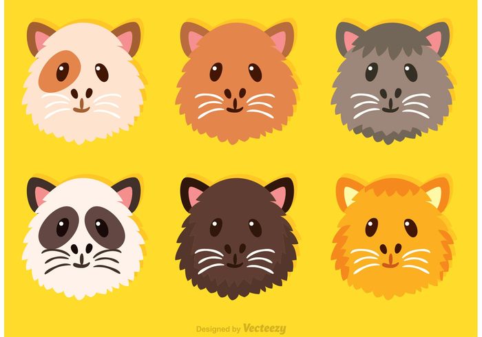 700x490 Guinea Pig Cute Face Vectors