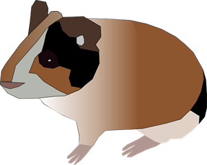 300x239 Guinea Pig Png, Clip Art For Web