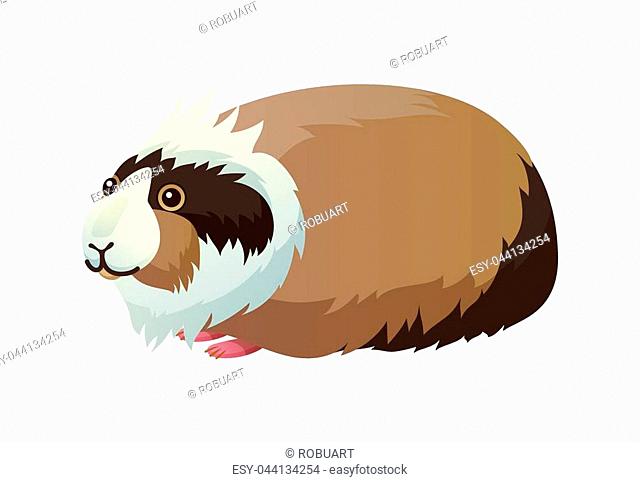 640x482 Guinea Pig Breed Icon Stock Photos And Images Age Fotostock