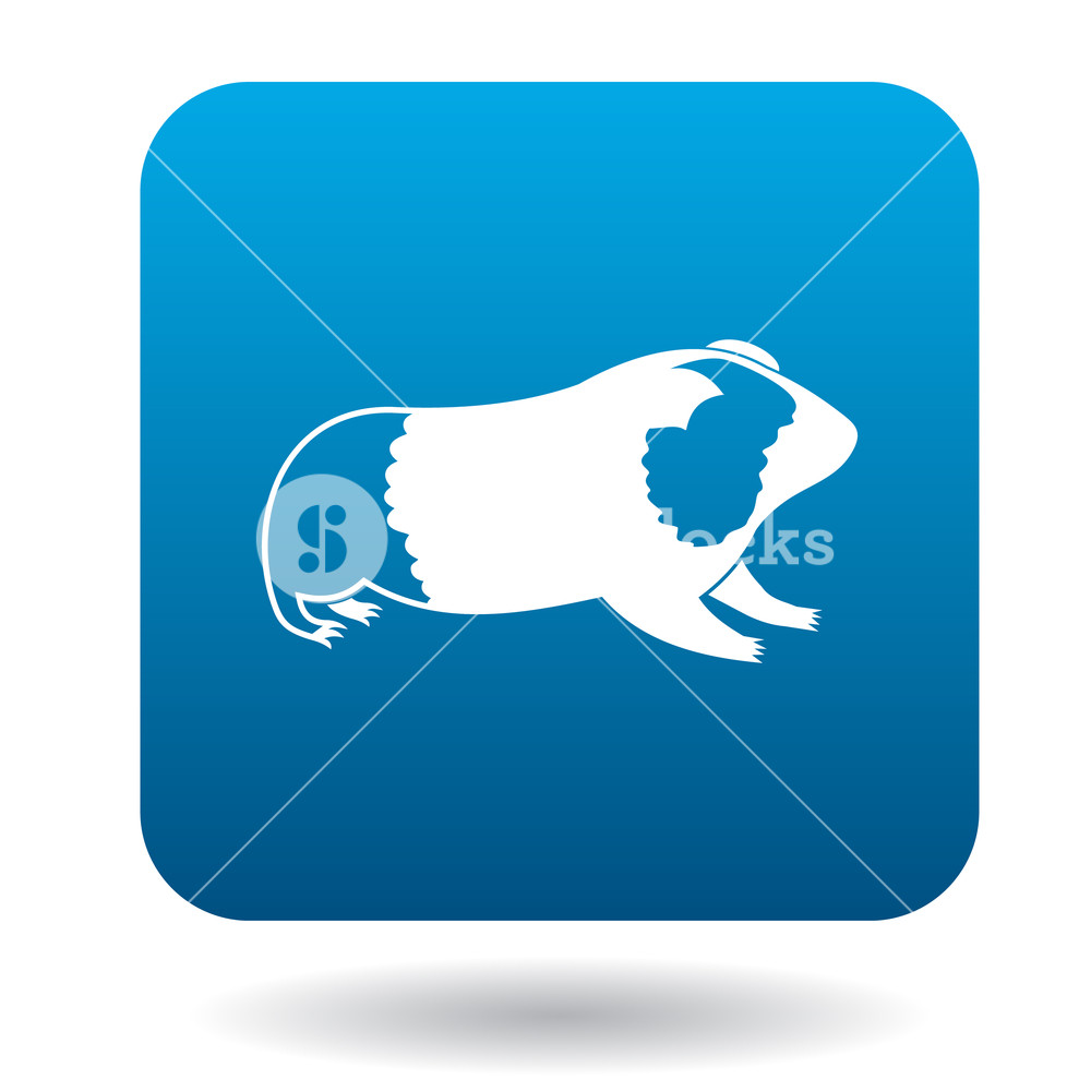 1000x1000 Guinea Pig Icon In Simple Style Isolated On White Background