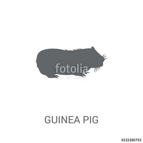 500x500 Guinea Pig Icon Trendy Guinea Pig Logo Concept On White