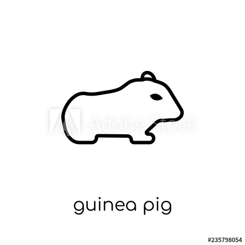 500x500 Guinea Pig Icon Trendy Modern Flat Linear Vector Guinea Pig Icon