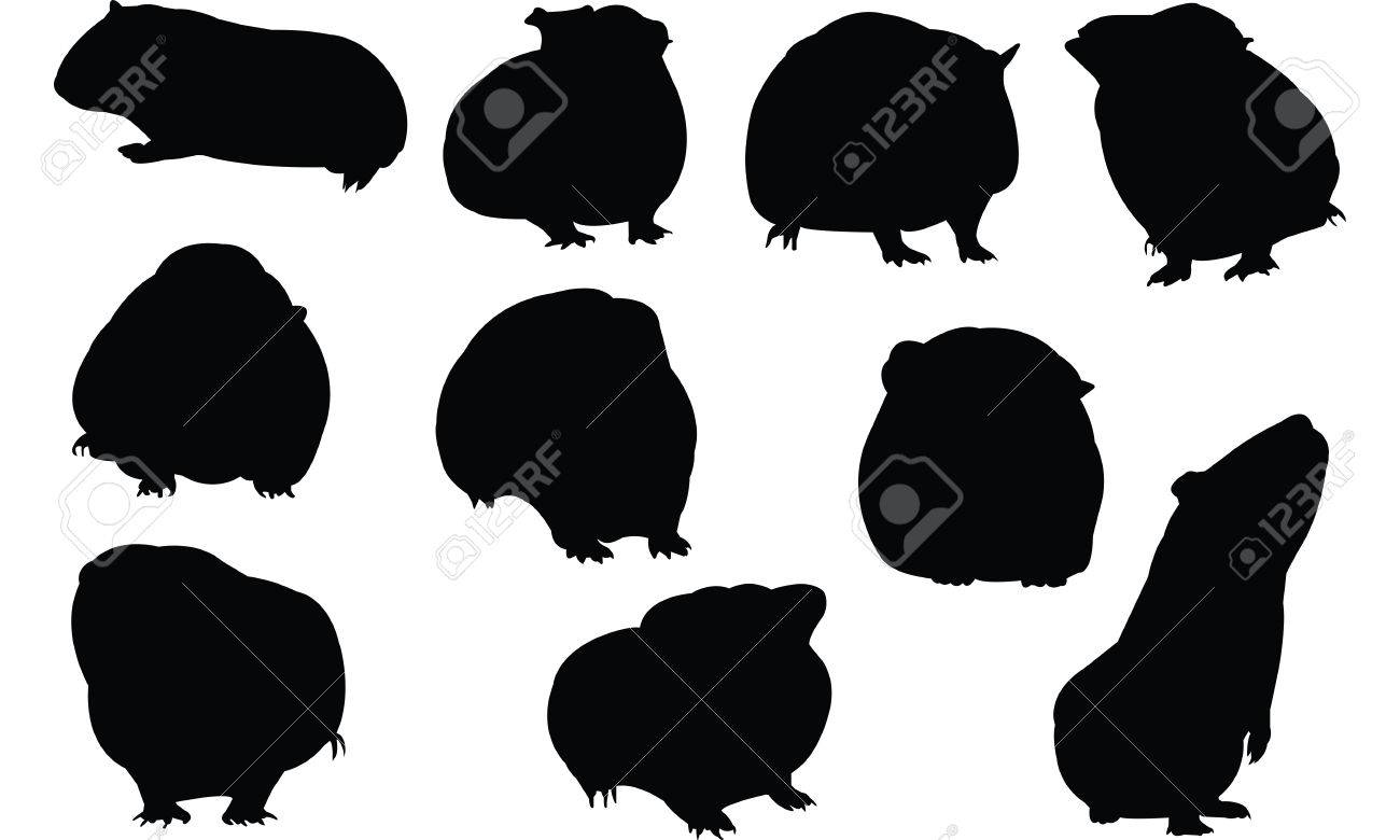 1300x780 Huge Collection Of 'guinea Pig Silhouette' Download More Than