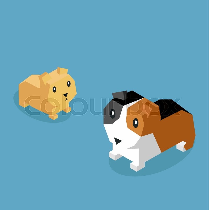 799x800 Pets Guinea Pig Icon Isometric Pet Stock Vector Colourbox