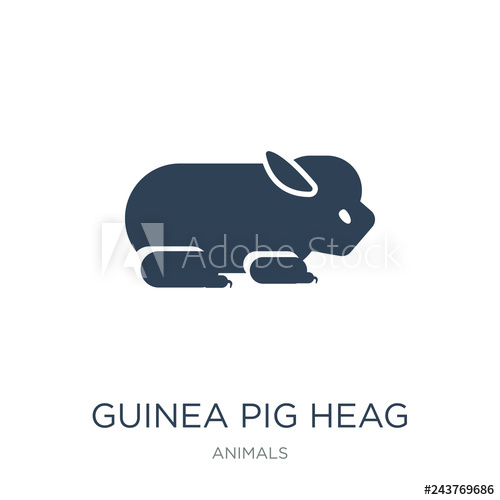 500x500 Guinea Pig Heag Icon Vector On White Background, Guinea Pig Heag