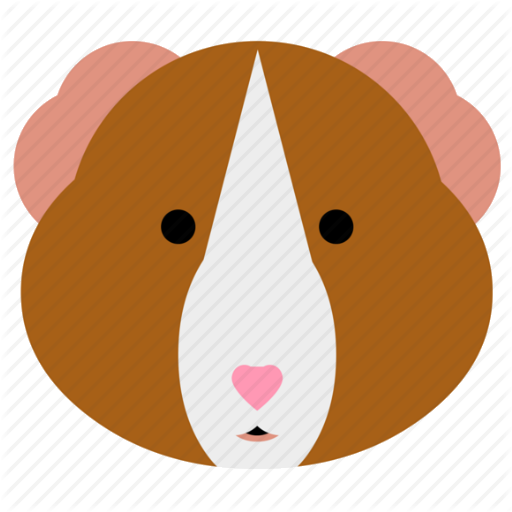 512x512 Cavy, Face, Guinea, Guinea Pig, Hamster, Pet, Pig Icon