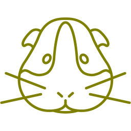 256x256 Free Olive Guinea Pig Icon