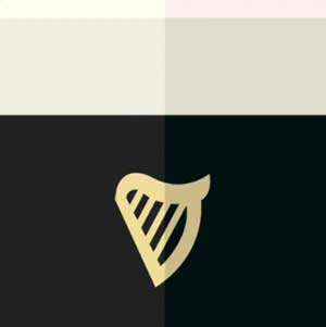 300x301 Icon Pop Brand Image