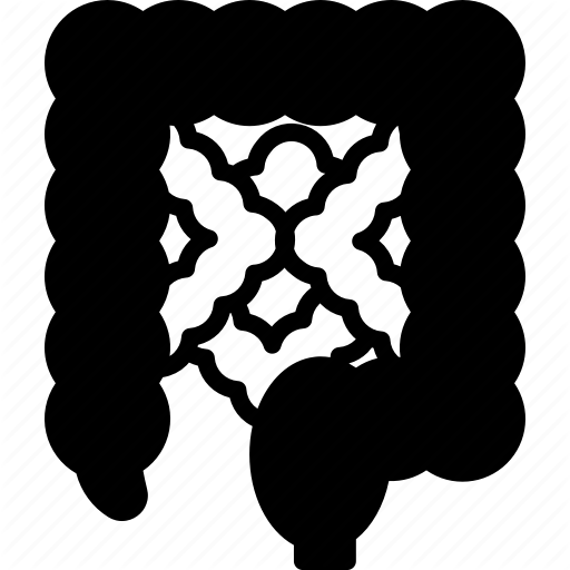 512x512 Alimentary, Bowels, Digestive, Gastrointestinal, Gut, Intestine