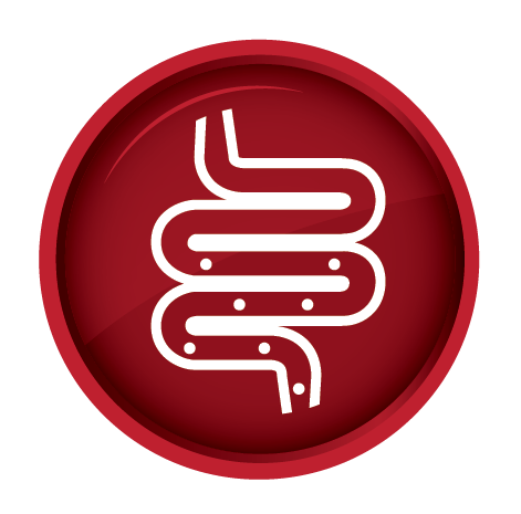 471x465 Digestive Health Icon