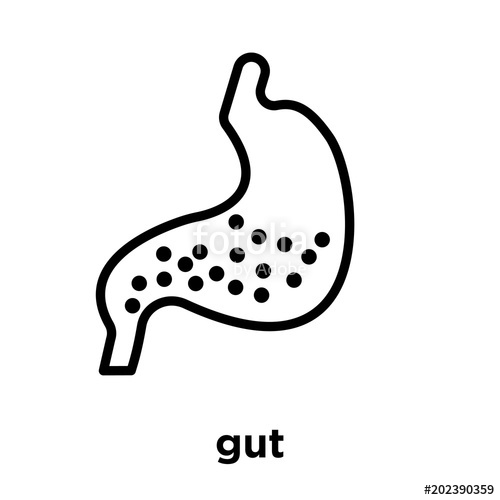 500x500 Gut Icon Isolated On White Background Stock Image And Royalty