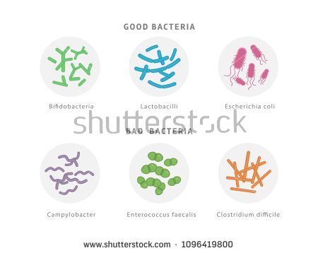 450x358 Download Vector Icons