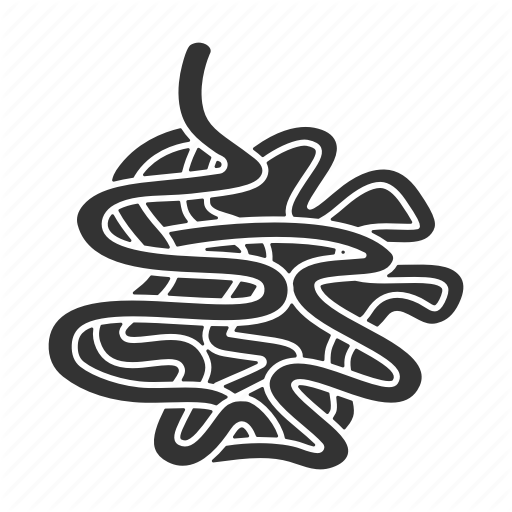 512x512 Bowel, Digestional, Digestive, Gastrointestinal Tract, Gut, Organ