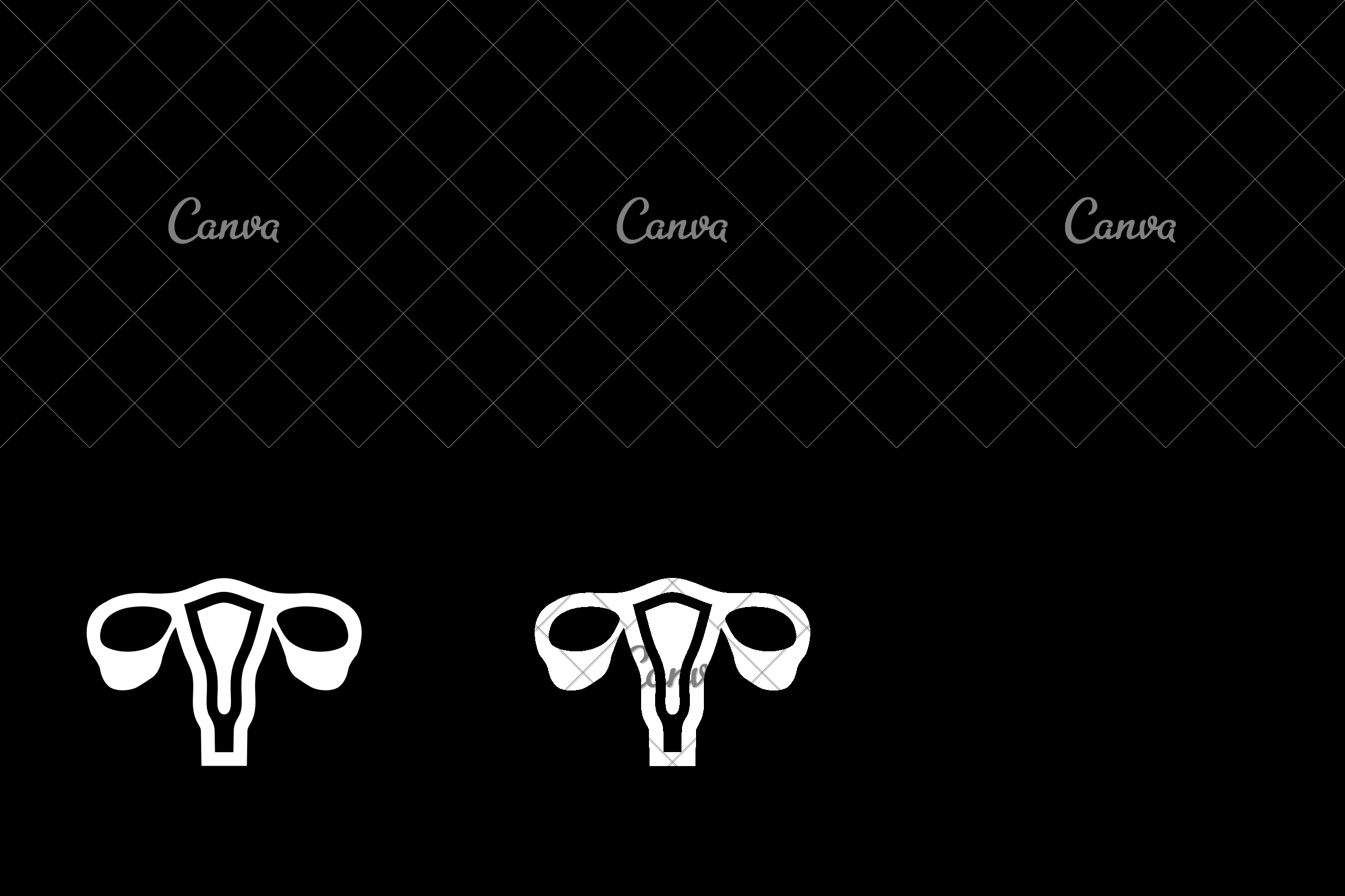 2400x1600 Gynecology Icon