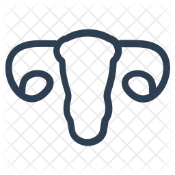 256x256 Gynecology Icon Of Line Style