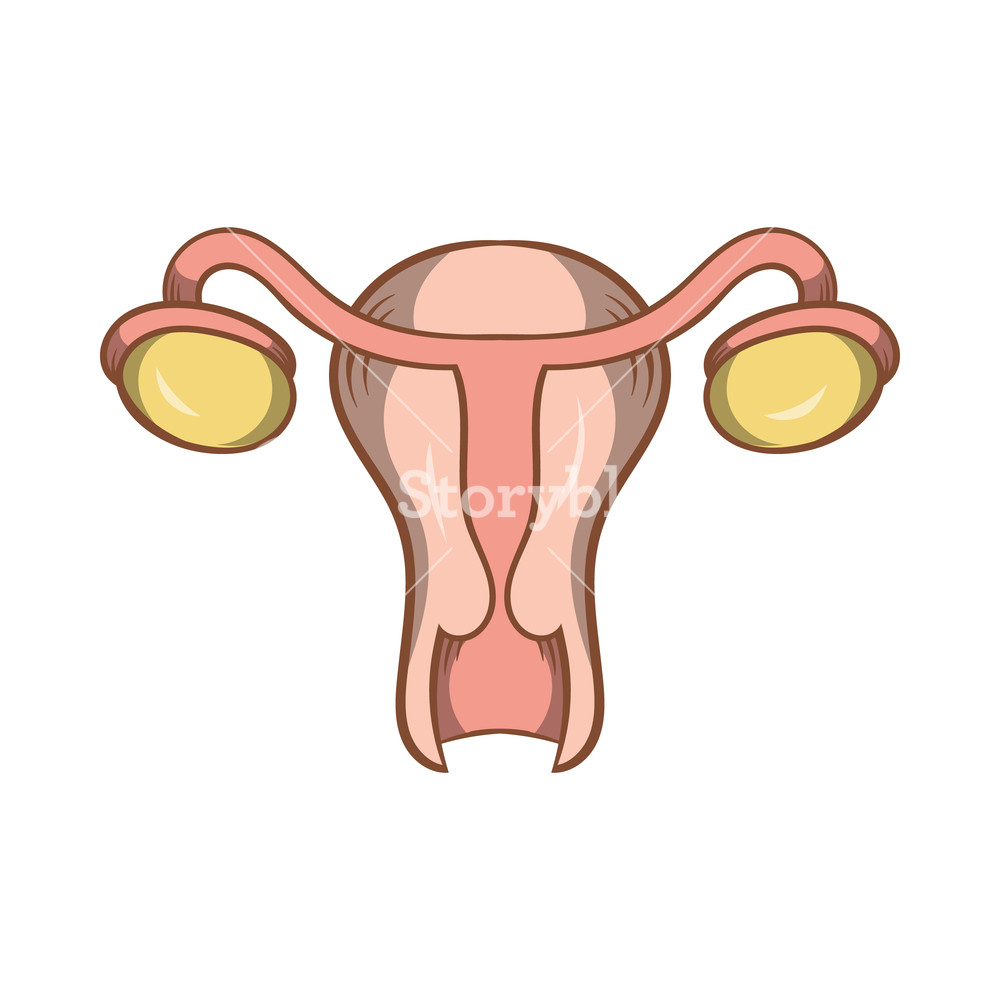 1000x1000 Uterus And Ovaries Icon In Cartoon Style Isolated On White