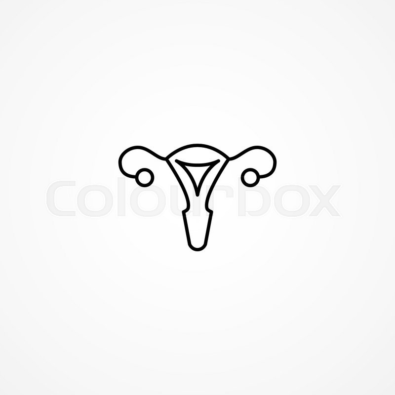 800x800 Vector Uterus Outline Healthcare Stock Vector Colourbox