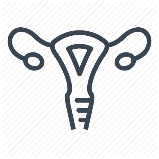 512x512 Gynecology, Healthcare, Medical, Medicine, Uterus Icon