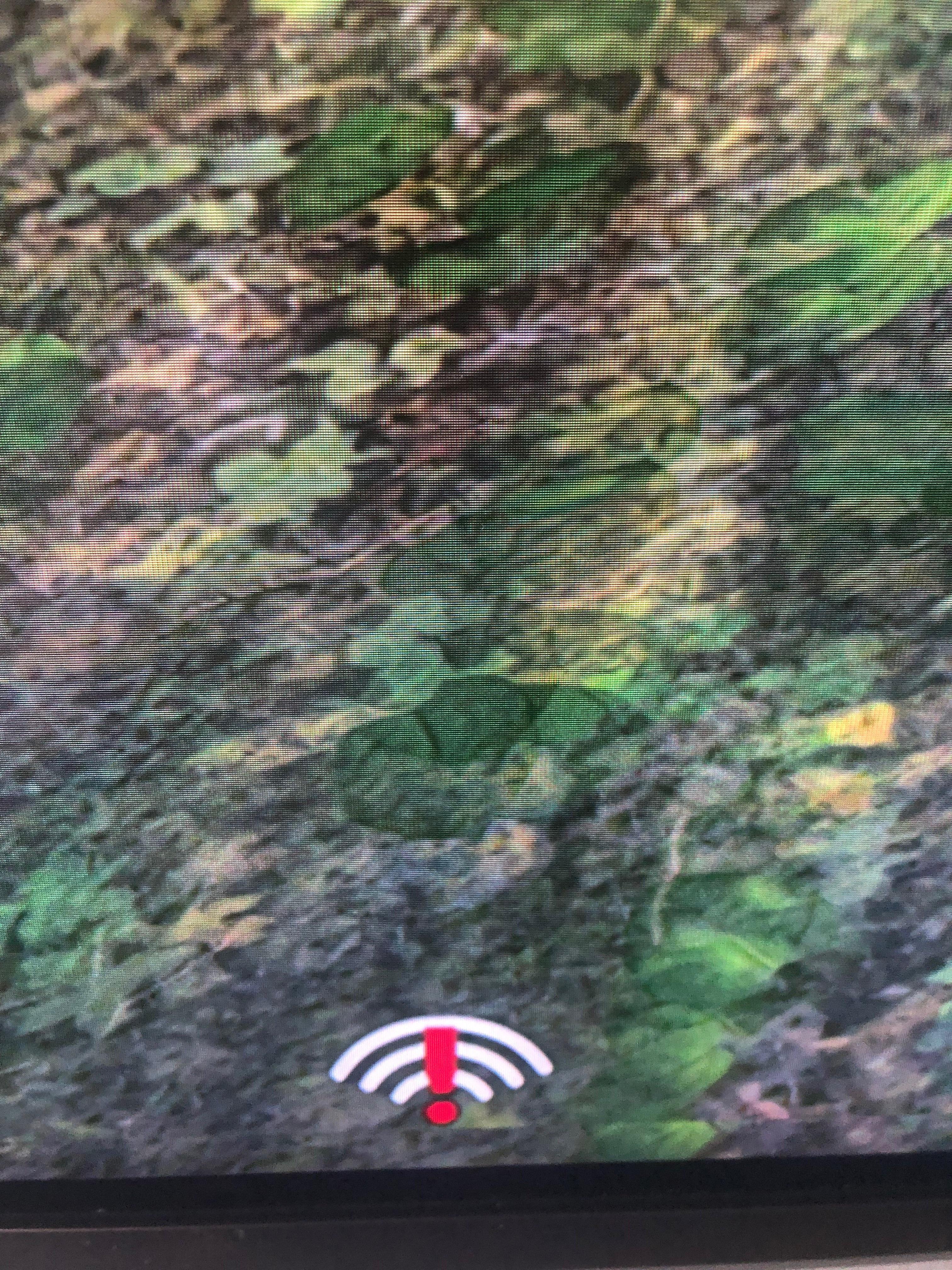 3024x4032 User Here Does Anyone Know What This Symbol Is And How I