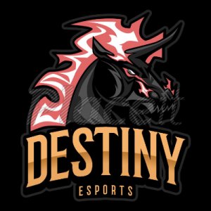 300x300 Destiny Esports
