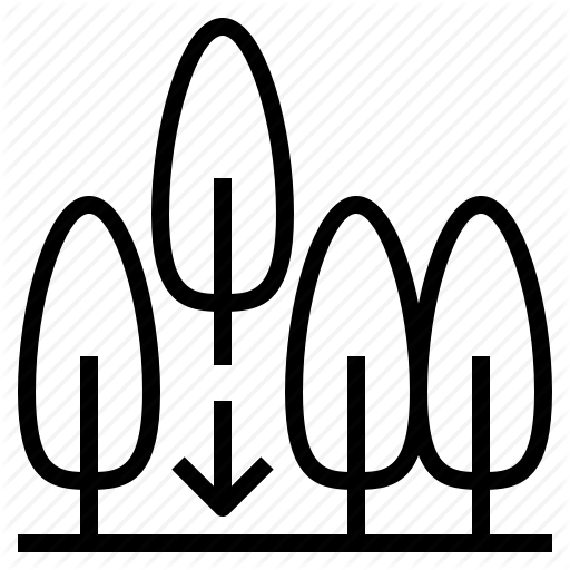 512x512 Conservation, Forest, Habitat, Plant, Tree Icon