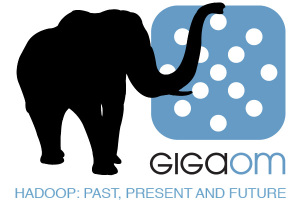 Gigaom Hadoop Icon Final 300x200 Gigaom Hadoop Icon Final