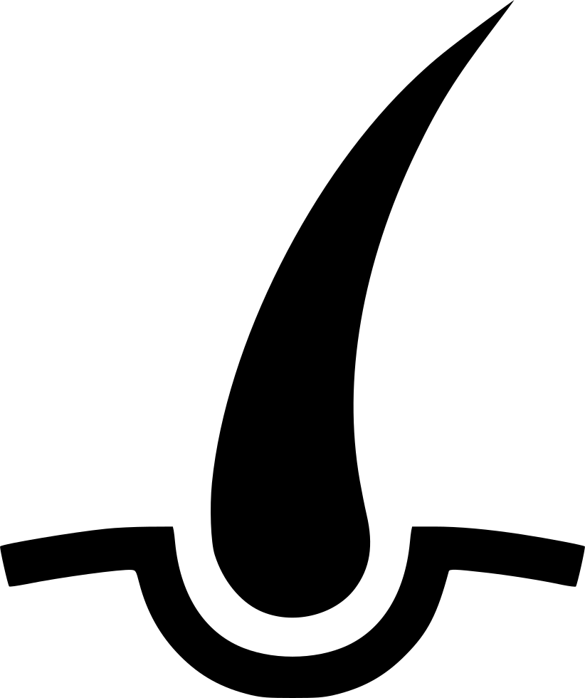 822x980 Hairs Shave Follicle Beauty Hair Bulb Png Icon Free Download