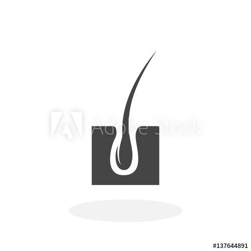 500x500 Skin Hair Icon Vector Logo On White Background