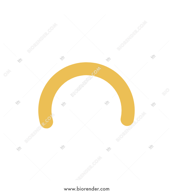 550x620 Biorender Vesicle