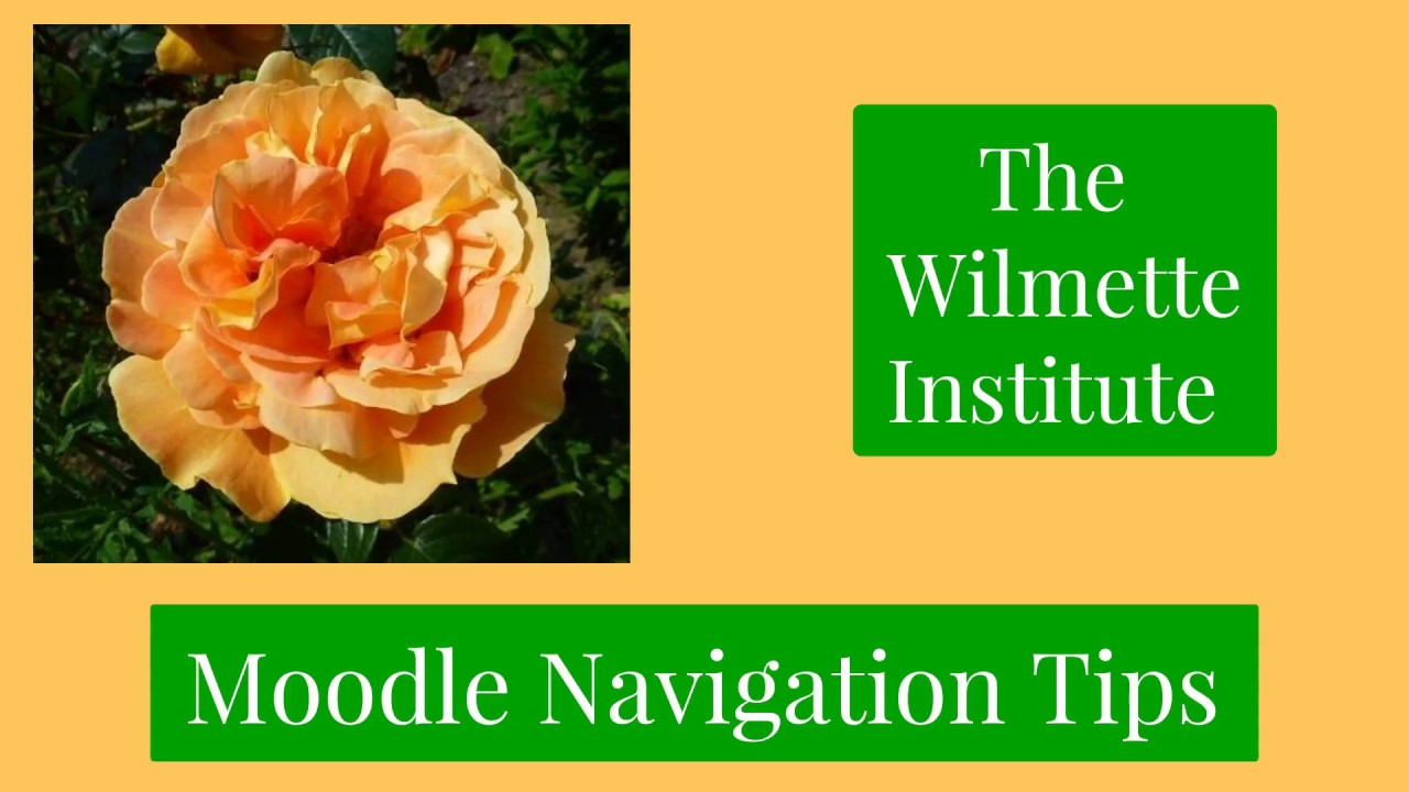 1280x720 Moodle Navigation Tips The Handy Hamburger Icon