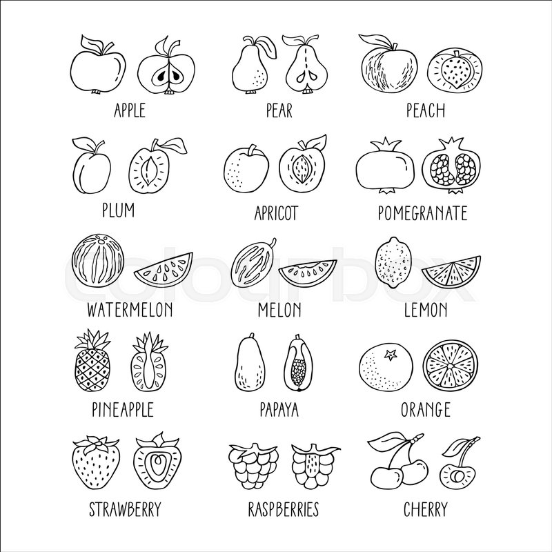 800x800 Fruit Hand Drawn Icon Set In Line Stock Vector Colourbox