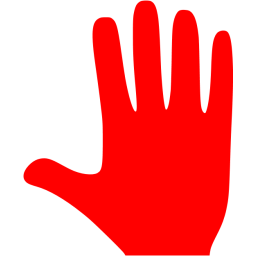 256x256 Red Whole Hand Icon