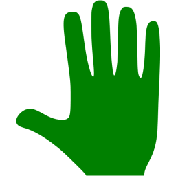 256x256 Green Whole Hand Icon