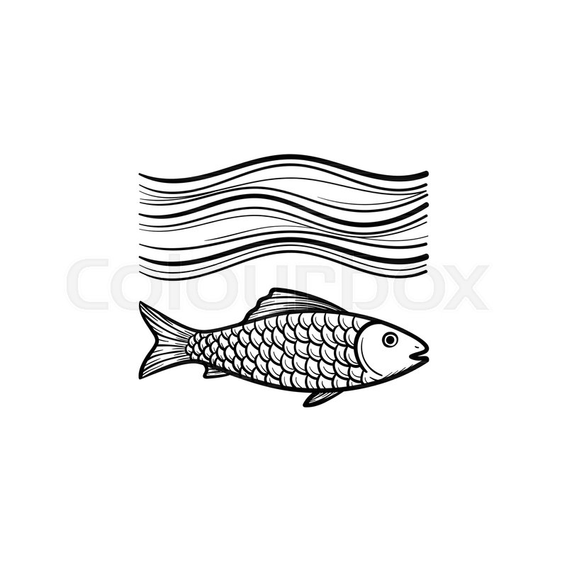 800x800 Fish Under Sea Wave Hand Drawn Outline Stock Vector Colourbox