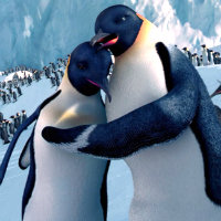 Happy Feet Images Happy Feet Photo 200x200 Happy Feet Images Happy Feet Photo