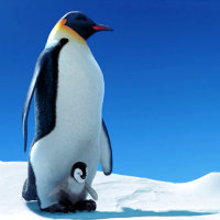Happy Feet Images Happy Feet Photo 200x200 Happy Feet Images Happy Feet Photo