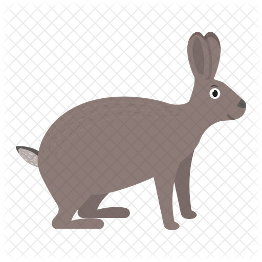 512x512 Hare Icon Of Flat Style